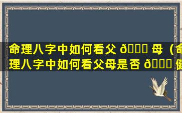 命理八字中如何看父 🐒 母（命理八字中如何看父母是否 💐 健康）